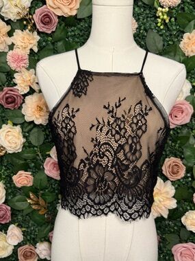 Black Lace Sheer Cropped Camisole